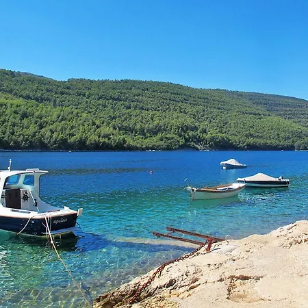 Сasa de vacaciones Ferienwohnung Labin 349s